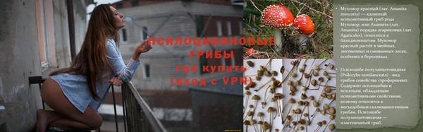прущие грибы Армянск