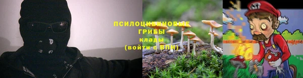 синтетический гашиш Арсеньев