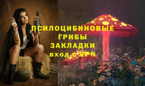 бошки Болотное
