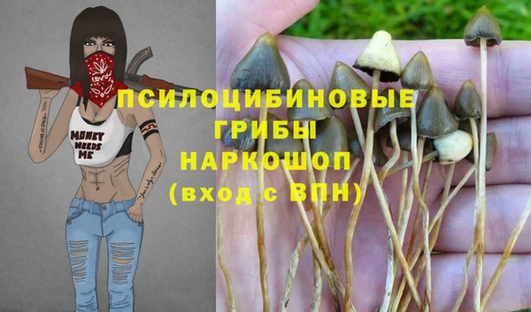прущие грибы Армянск