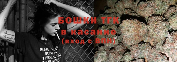 прущие грибы Армянск